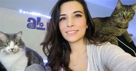 alinity cat|Alinity accused of abusing cats during Twitch streams